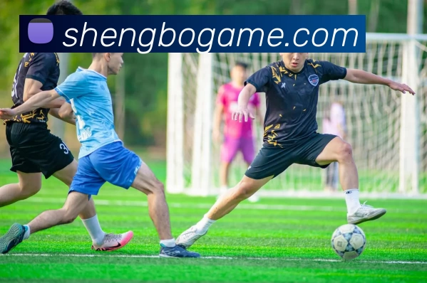 升博游戏平台APP 封面图